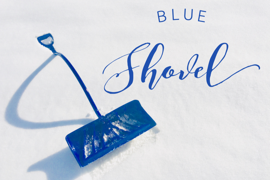 Blue Shovel Blog