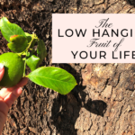 Low Hanging Fruit